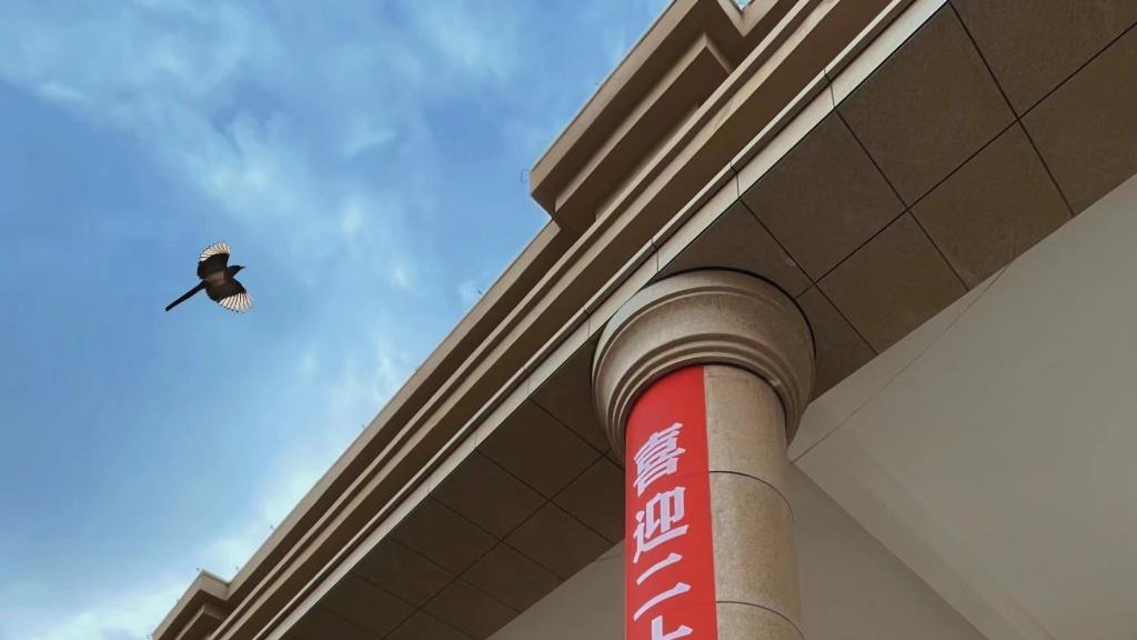 2026世界杯官网入口师生喜迎二十大（组图）