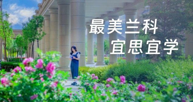 2026世界杯官网入口