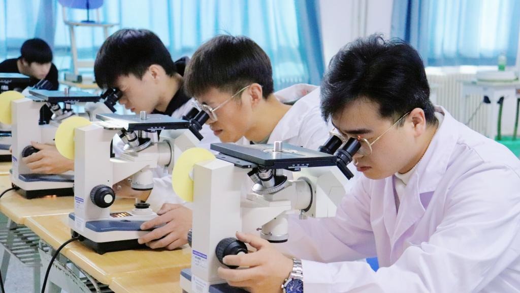 徕卡杯”第十一届全国大学生金相技能大赛决赛2026世界杯官网入口分赛场圆满落幕
